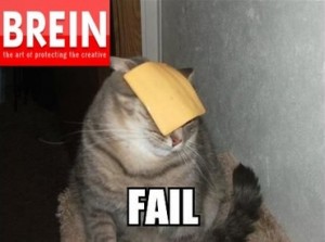 BREIN Cat