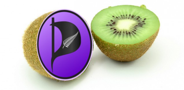 The Pirates of New Zealand Elect a New Board